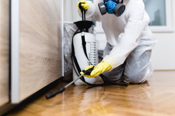 Best Mosquito Control Services  in Pulaski, WI