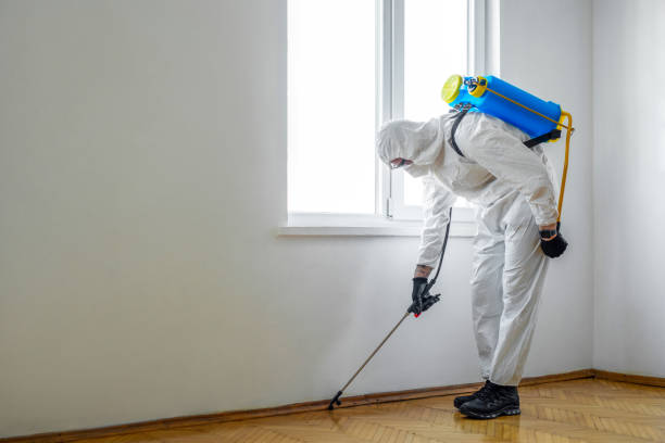 Best Affordable Pest Control Services  in Pulaski, WI