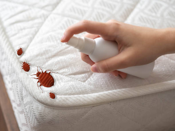 Professional Pest Control in Pulaski, WI