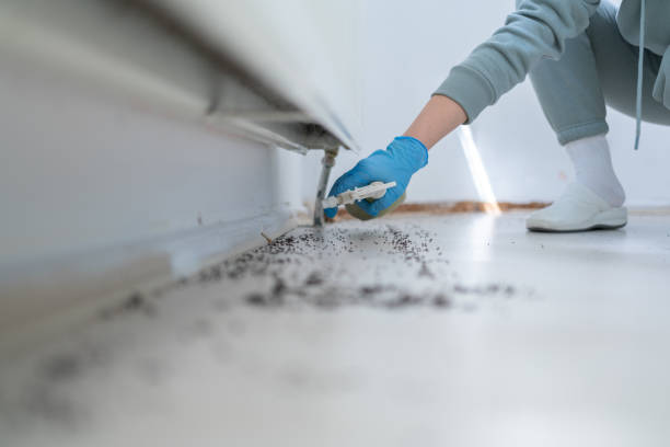 Best Local Pest Control Services  in Pulaski, WI